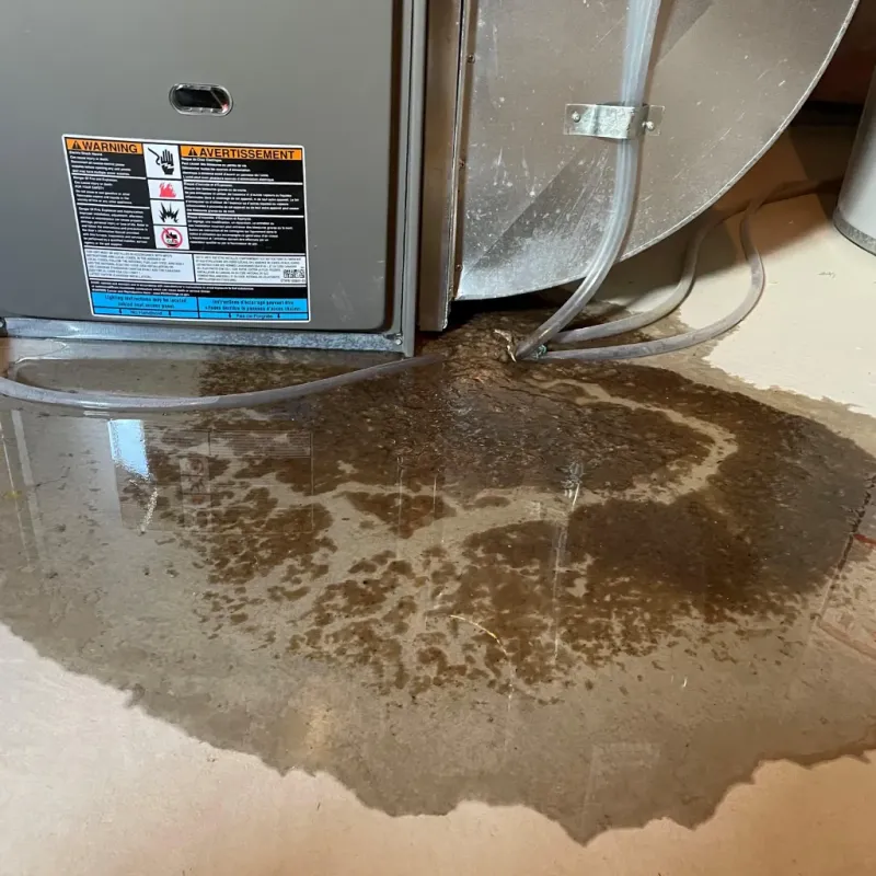 Appliance Leak Cleanup in Ben Lomond, CA